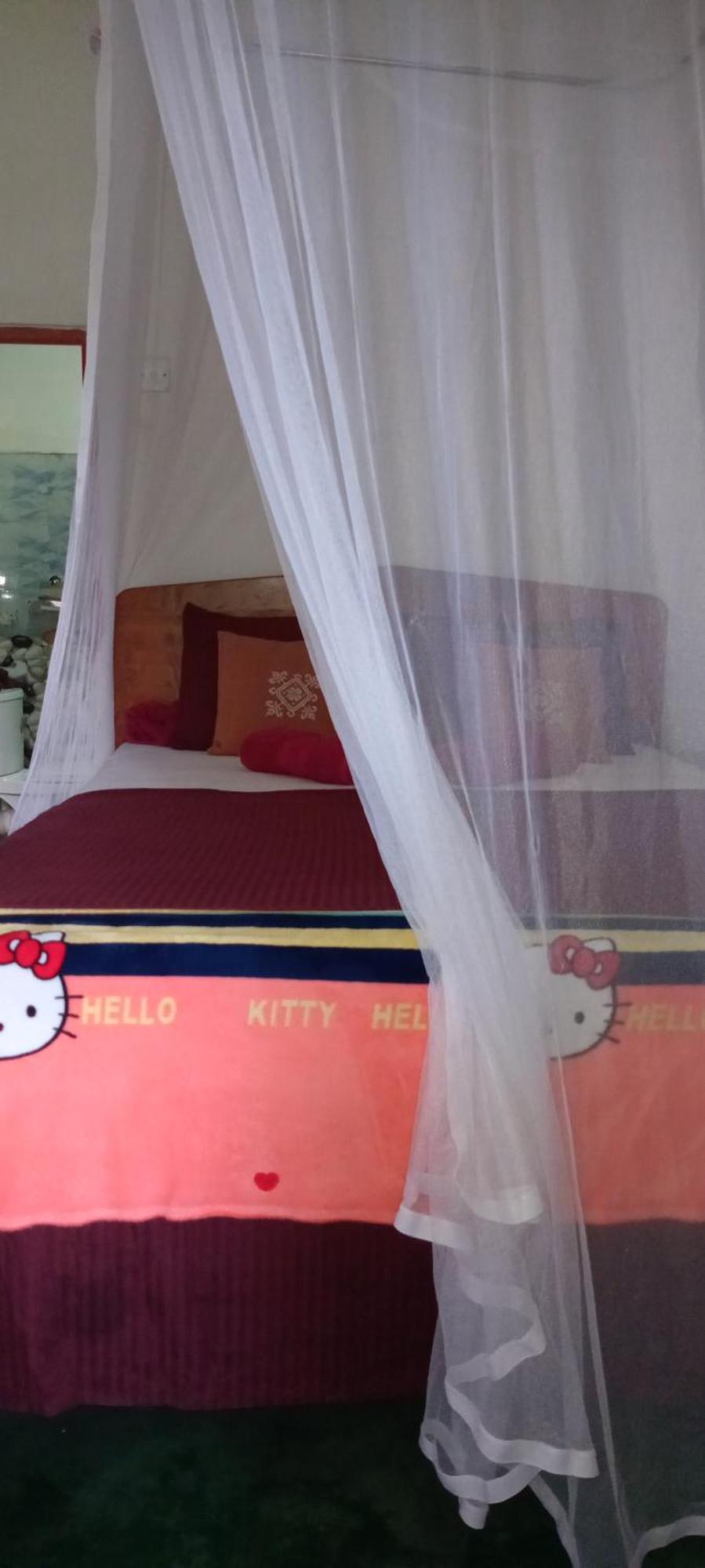 Apartament Dream Nest Ella Zewnętrze zdjęcie
